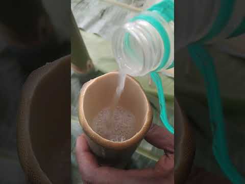 Desi Desi viral video viral short❤️❤️❤️❤️ Like and subscribe🤩🤩#desi #viralvideo #youtubeshorts 🍷🍷🍷