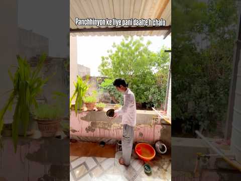 Mini Vlog #villagelife #villagelifestyle #desi #gaon #familyvlog #desilife #viralshorts #trending
