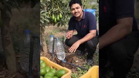 desi jugaad!#short#shortvideo #desi jugaad#youtubeshorts