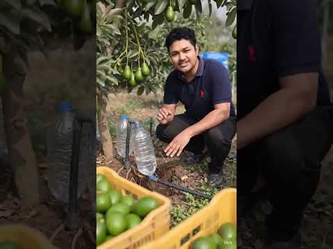 desi jugaad!#short#shortvideo #desi jugaad#youtubeshorts