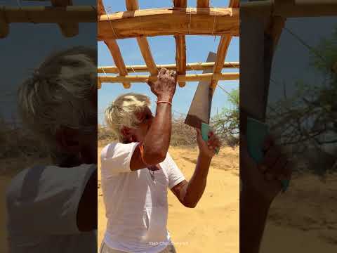 देसी ढाणी 😍 पार्ट -3 #desi #village #villagelife #youtubeshorts #shorts #rajasthan #garmi #reel