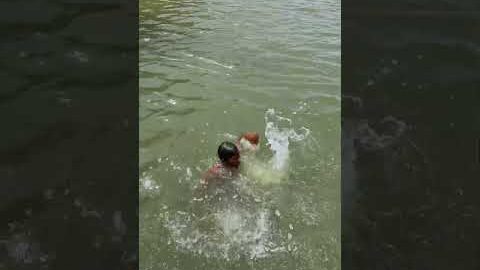 Desi water park aa gaye !