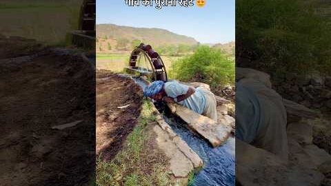गाँव की पुरानी रहट 😍 #villagelife #rajasthani #culture #desi #shortvideo #viralvideo