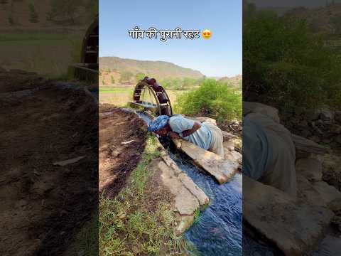 गाँव की पुरानी रहट 😍 #villagelife #rajasthani #culture #desi #shortvideo #viralvideo