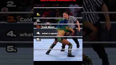 Ranking WWE Wrestlers SAVAGE Moments