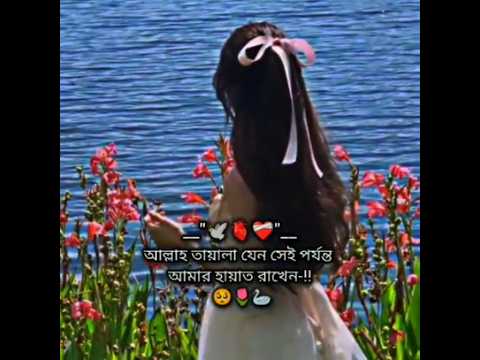 😅💗🩹🕊️ [𝐥𝐢𝐤𝐞 𝐚𝐧𝐝 𝐬𝐮𝐛𝐬𝐜𝐫𝐢𝐛𝐞] #bts #unfrezzmyaccount #trending #bts_official_bighit #btsot7