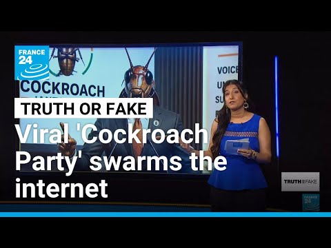 Cockroach Janta Party: India’s youth turn judge’s jab into viral political movement • FRANCE 24