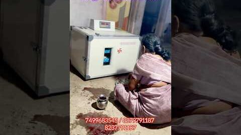 240 eggs Incubator #incubator #poultry #business #desi #farming #egg