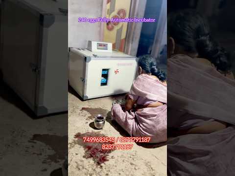 240 eggs Incubator #incubator #poultry #business #desi #farming #egg