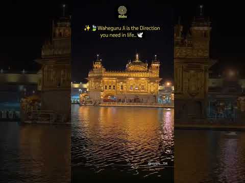 Deewane (Official Video) Navaan SandhuFt Bir | Daaku | New Punjabi Songs 2025 #yutubeshorts#trending