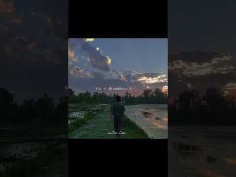 Dil Diyan Gallan B Praak Carry on Jatta 4 | New Punjabi Song Status #shorts #viral #status