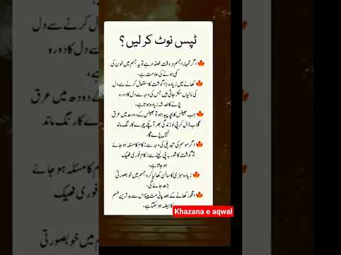 Beautiful Islamic status, Islamic status on Muslim, 4k Islamic status  #Islam #allah #ytshort #short