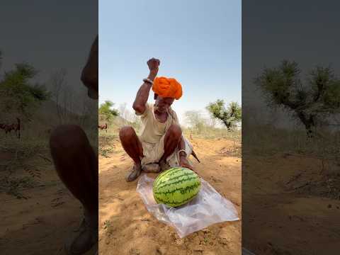 तरबूज़ का देसी मज़ा 😍 #desi #villagelife #culture #food #viralvideo #subscribe