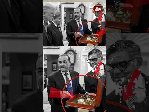 Aimal Wali Khan Viral Video: Pak’s Asim Munir mocked at home over rock show with Trump #pakistan