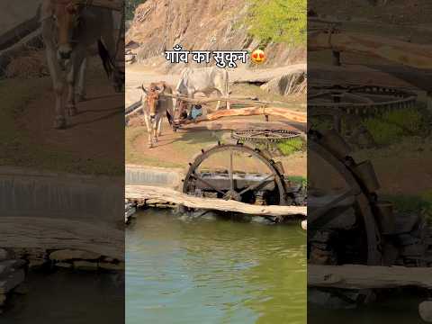 गाँव का सुकून 😍 #viral #shortvideos #rajasthan #youtubeshorts #desi #shorts #viral #culture #old