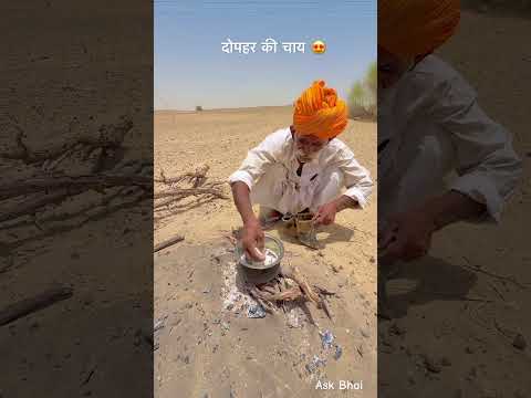 राजस्थान के भेड़ बकरियों चराने वाले दोपहर की चाय 😍 #desi #life #rajasthani #village #facts #shorts