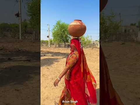 गाँव के सुंदर नजारे 😍 #rajasthan #village #desi #gav #nature #marwadilife #shorts