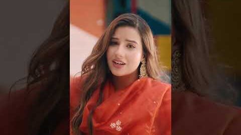 New Punjabi Song 2026 | Phulkari is Out Now | Punjabi Song 2026 | Latest Punjabi Song 2026