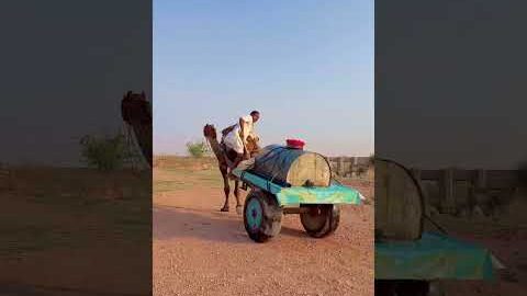 राजस्थान में पानी की कमी 😍 #desi #life #rajasthani #village #facts #shorts