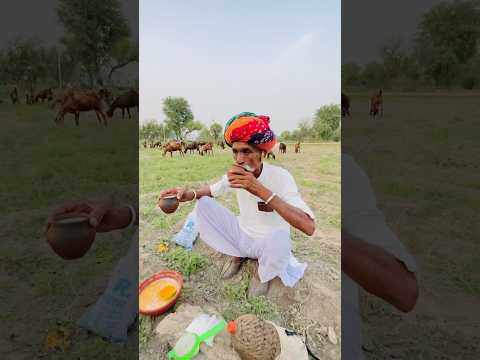 बिलपत्तर का ठंडा जूस 😍#villagelife #culture #sukoon #desi #rajasthani #subscribe