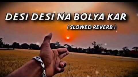 Desi Desi Na Bolya Kar Slowed + Reverb | Haryanvi Lofi Song 🎧✨