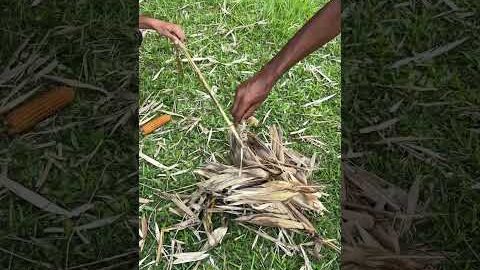 Desi Jugaad 😱 #amazing #bike #duke #duke390 #viral #viralvideo #dukemotorcycles #ktmduke