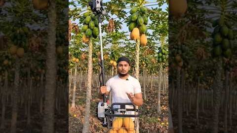 papita todne ki machine 👍 wow #shorts #trendingshorts #explore #viral  #desi #farming #love