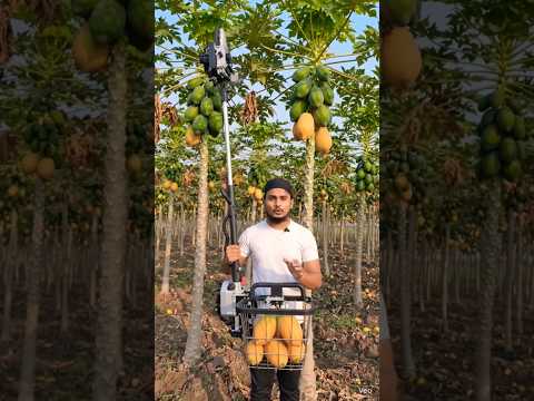 papita todne ki machine 👍 wow #shorts #trendingshorts #explore #viral  #desi #farming #love