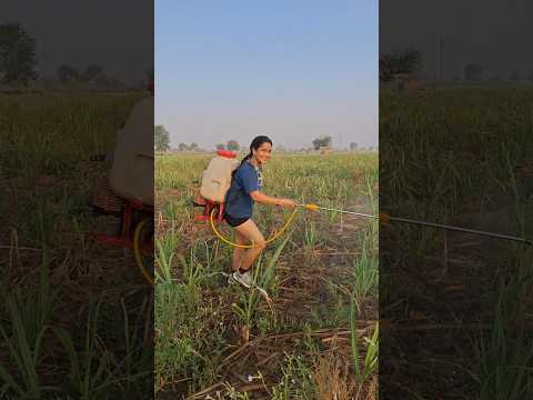 dwai🥰🌾…#desi #girl #youtube #village #shorts #viral #lifestyle #trending #love #farming #trend