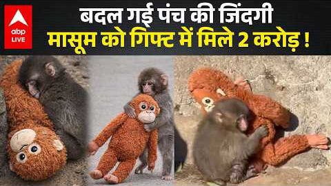 Viral Video: Japan के Viral Baby Monkey की कहानी, मां ने ठुकराया लेकिन अजनबी ने 2 करोड़ रुपए गिफ्ट !