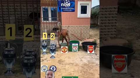#football#comedy#funny#trending#viral#funnyvideos#memes#shortvideo#Dance#music#foryou#fyp#viral#xoxx