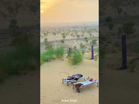 रेगिस्तान की सुबह 🥰 #villagelife #rajasthan #desi #gaon #shorts #viralvideo #viralshorts