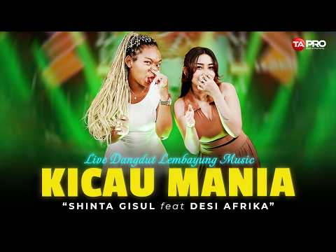 (NEW) KICAU MANIA – GAS POL NDANGAK – SHINTA GISUL FT DESI AFRIKA (DUO GACOR) |DANGDUT KOPLO VERSION