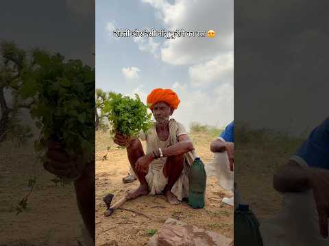 देसी पुदीने और नींबू का रस 😍 #villagelife #desi #culture #rajasthani #viralshorts