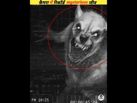 The most dangerous creatures ever recorded on 📷 #viral