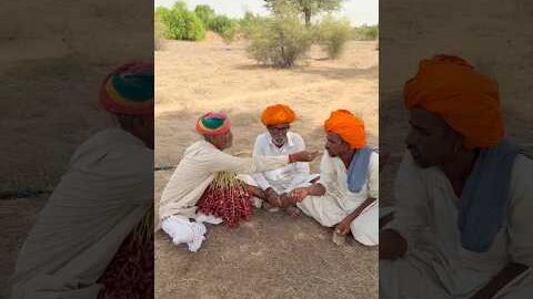 देसी खजूर का नाश्ता 😍 #shorts #shortsfeed #shortvideo #date #fruit #desi #desert #villagelife