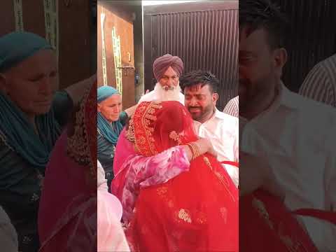 Veera ( Official Video ) Sargi Maan | New Punjabi Song 2024