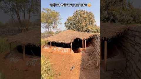 दादी का एसी वाला हवा महल 😍#viralvideos #sukoon #ytshorts #hawamahal #desi #shortvideos #rajasthan
