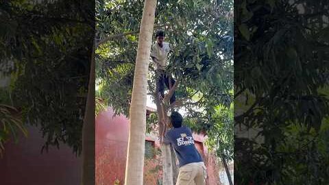 Aam Todna Hai #aam #comedyvideo #desi #friends #gav