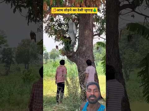 🥭Aam todne ka desi Jugaad🌲 #Aam #desi #funny #comedy #shortsvideo #viralreels #manojvlog420
