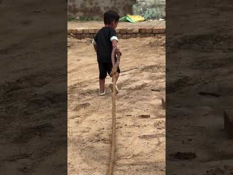 2 साल के बच्चे का देसी वर्कआउट #desi #workout #desifitness #indianfitness