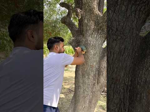 Desi powor 🥷🏽 #desi #motivation #trending #shortvideo #short #youtubeshorts #yt