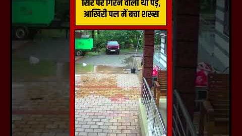 Viral Video | सिर पर गिरने वाला था पेड़, आखिरी पल में बचा शख्स | #viralnews #viralvideo #shorts