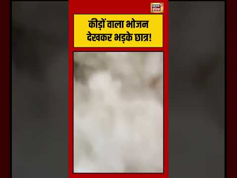 Viral VIdeo | कीड़ों वाला भोजन देखकर भड़के छात्र! | #viralnews #viralvideo #shorts