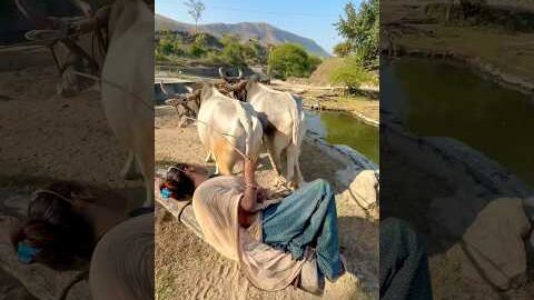 गाँव में पानी निकालने की देसी मोटर 😱 #viral #shorts #short #desi #village #ytshorts #viralshorts