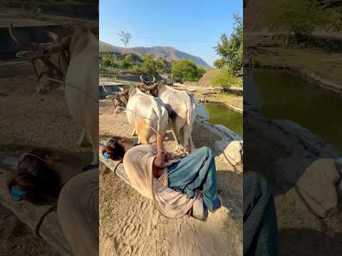 गाँव में पानी निकालने की देसी मोटर 😱 #viral #shorts #short #desi #village #ytshorts #viralshorts