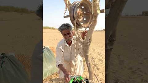 थार रेगिस्थान में पानी घी के भाव 🥰 #villagelife #desi #water #morning #life #thar #desert #reels