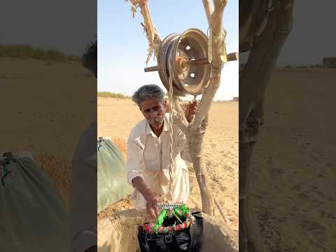 थार रेगिस्थान में पानी घी के भाव 🥰 #villagelife #desi #water #morning #life #thar #desert #reels