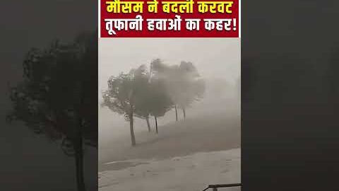 Monsoon Alert: तेज हवाओं और बारिश का डबल अटैक! shorts | Viral Video | Weather Update | Storm Alert |
