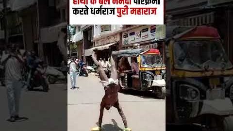 Dharmraj Puri Maharaj Viral Video : हाथों के बल नर्मदा परिक्रमा करते धर्मराज पुरी महाराज | N18S